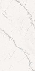 ARMONİA SİLVER FULL LAPP. PAR. 1. 60x60