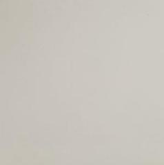 S.GRANİTO BONE (ENDÜSTRİYEL)  60x60