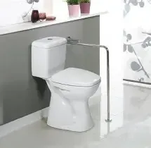 TURKUAZ LİLA Bed.Engelli Klozet + İç Tkm + Kapak Set